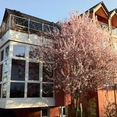 Gaestehaus Kirschgarten Bodenheim Bagian luar foto
