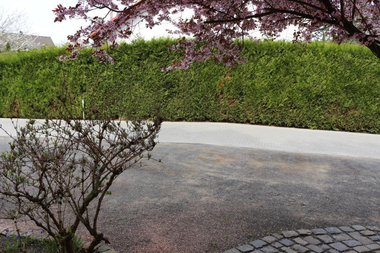 Gaestehaus Kirschgarten Bodenheim Bagian luar foto